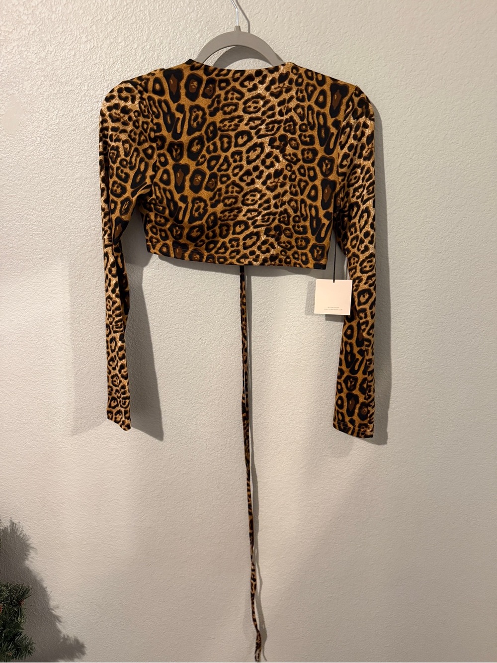 superdown Leopard-Print Long Sleeve Tie-Front Cropped Top in Brown - Picture 4 of 4